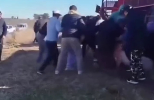 Volcó un camión jaula y los vecinos faenaron los animales