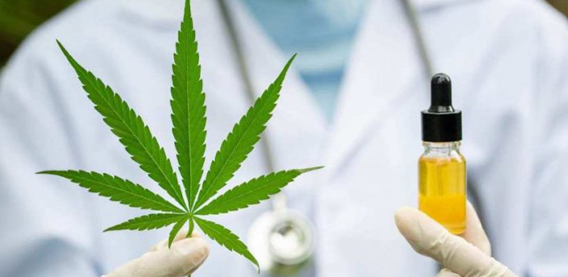 medicinal-cannabisjpg