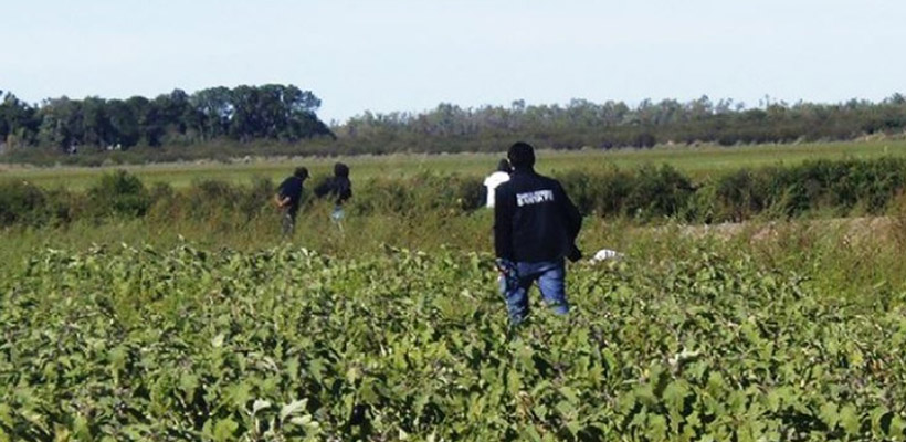 campo-sierra-de-los-padresjpg