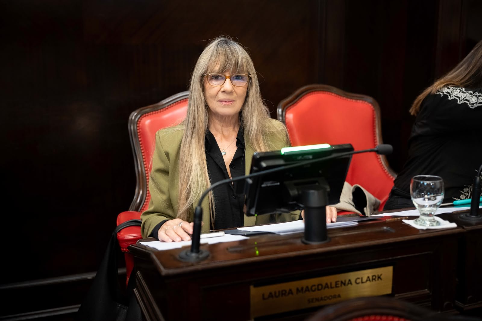 El Senado bonaerense reconoció distintas iniciativas culturales de Pergamino