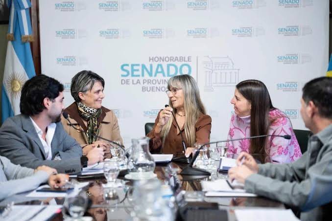 Ley Ema: Laura Clark logró unificar los proyectos contra la violencia digital y avanza hacia el recinto
