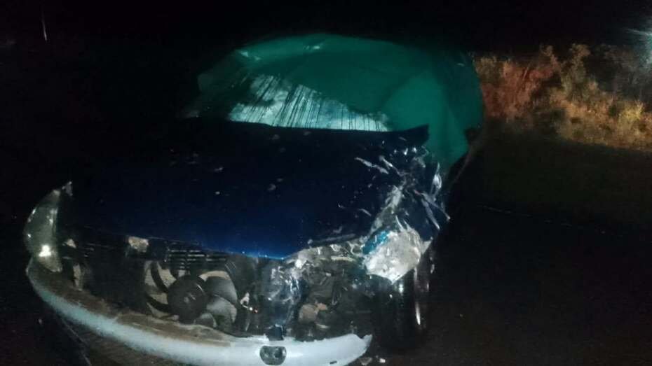 Una mujer oriunda de El Socorro perdió la vida en un trágico accidente