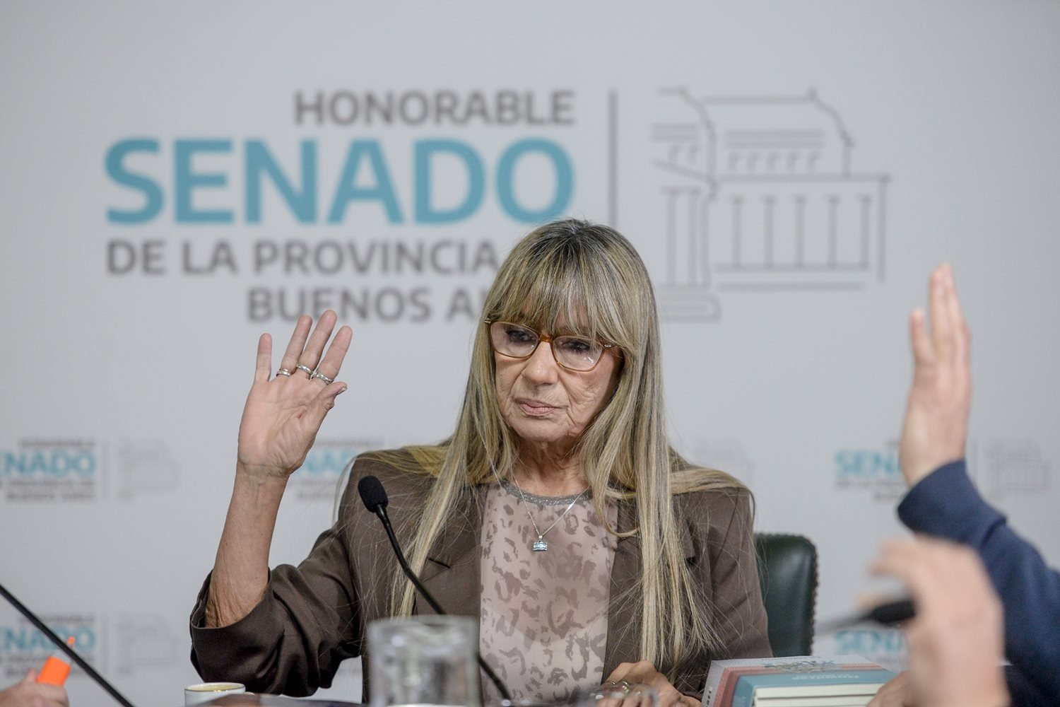 La Ley Ema volvió a Diputados tras los cambios introducidos por el Senado bonaerense