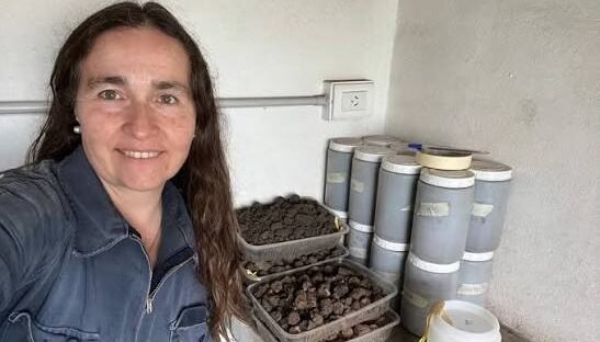El INTA volvió a despegarse de la investigación sobre agroquímicos de Virginia Aparicio