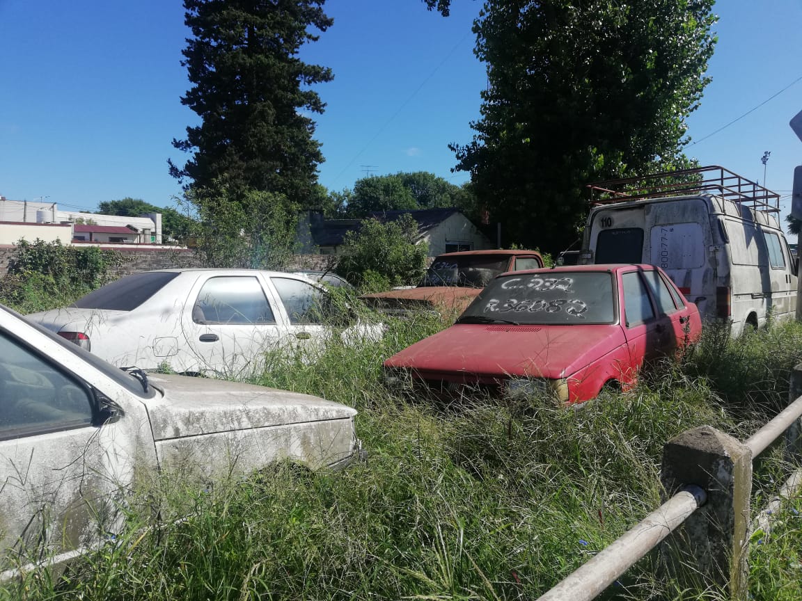 cementerio de autos (1)-min.jpeg