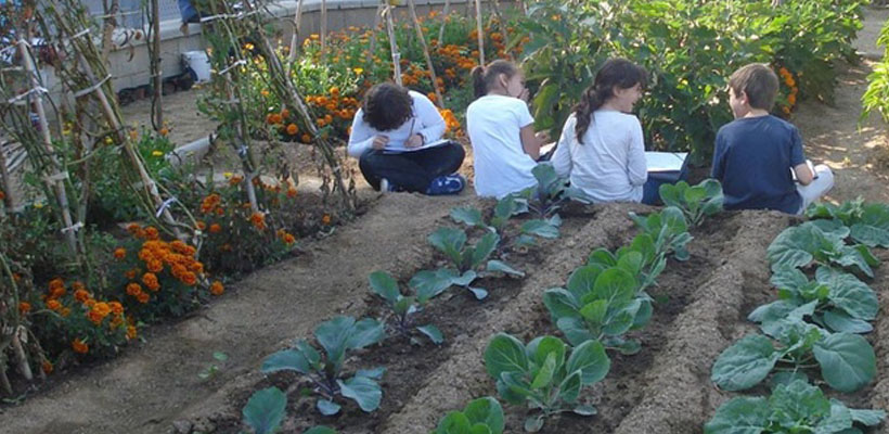 huerta-escolarjpg