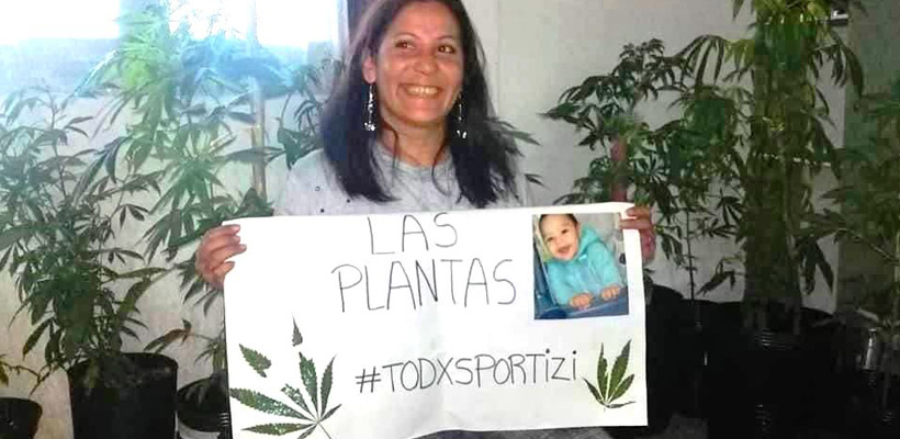 planta-canabis-abuelajpg