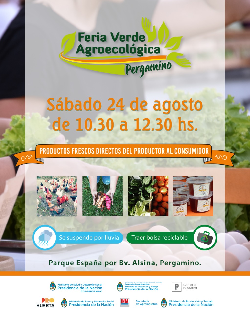 feria verde.jpeg
