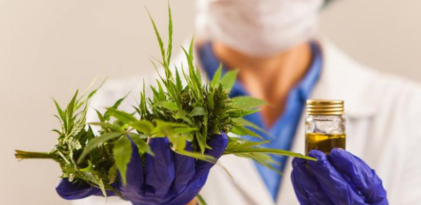 cannabis-berazateguijpg