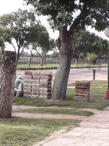 docente agro.jpg