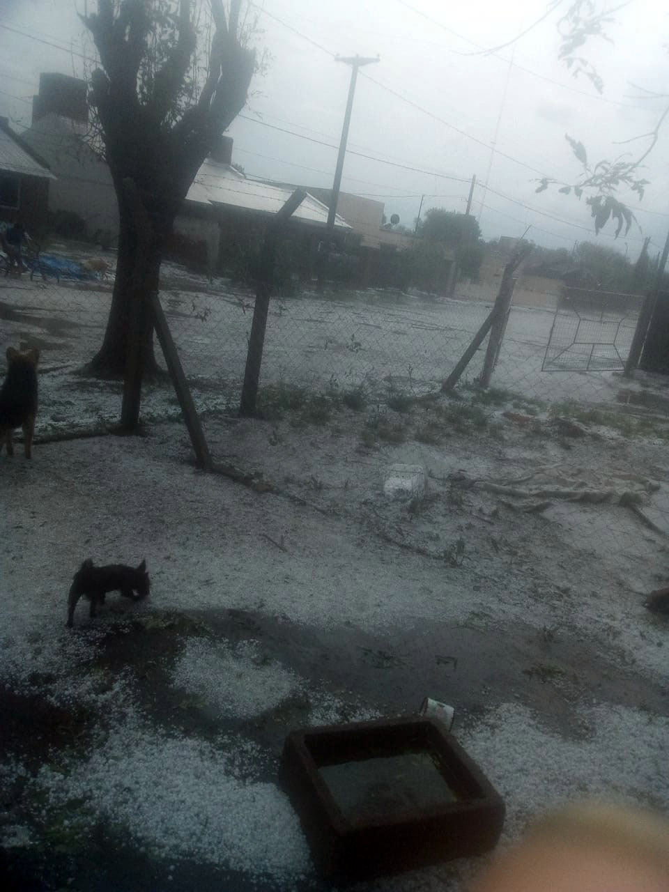 granizo ocampo 3-min.jpg