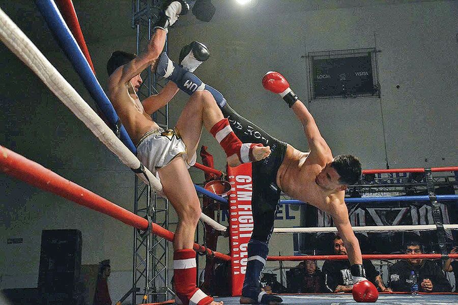 chacal 2.jpg