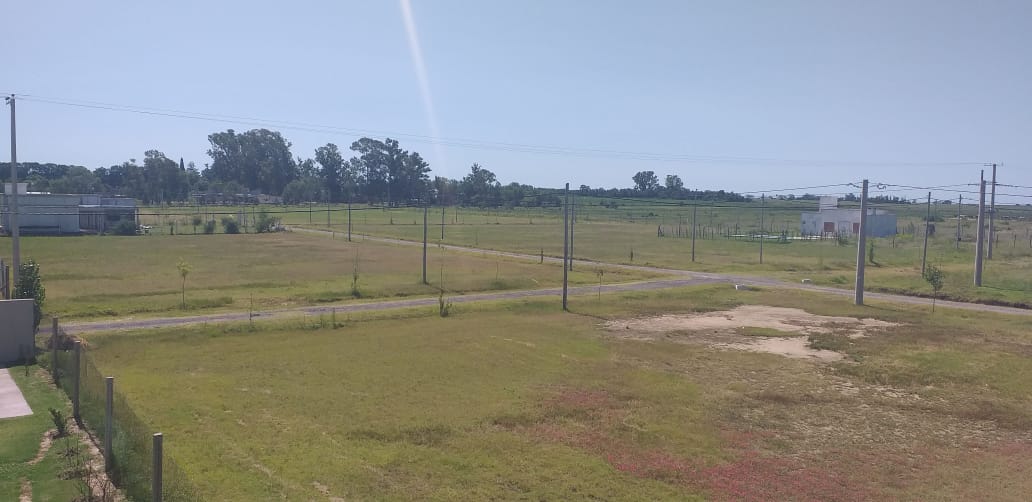 el molino (5).jpeg