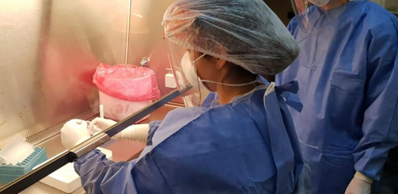 laboratorio-covidjpg