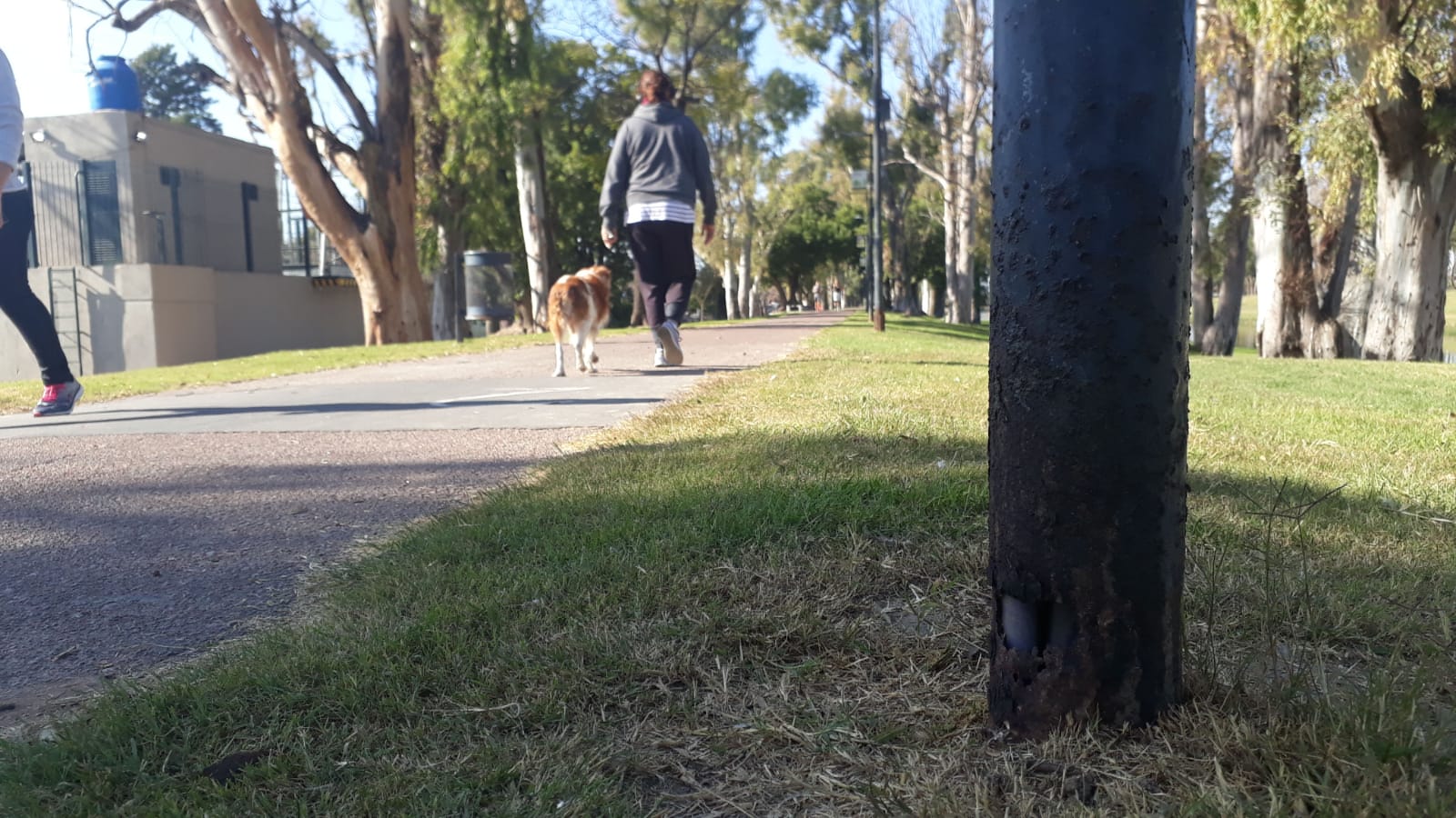 postes luz paseo (7).jpeg