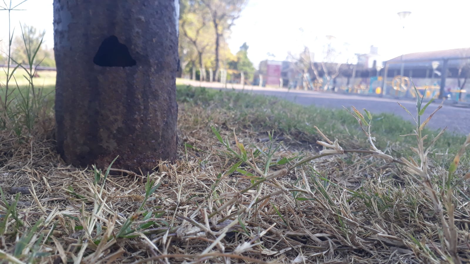 postes luz paseo (8).jpeg