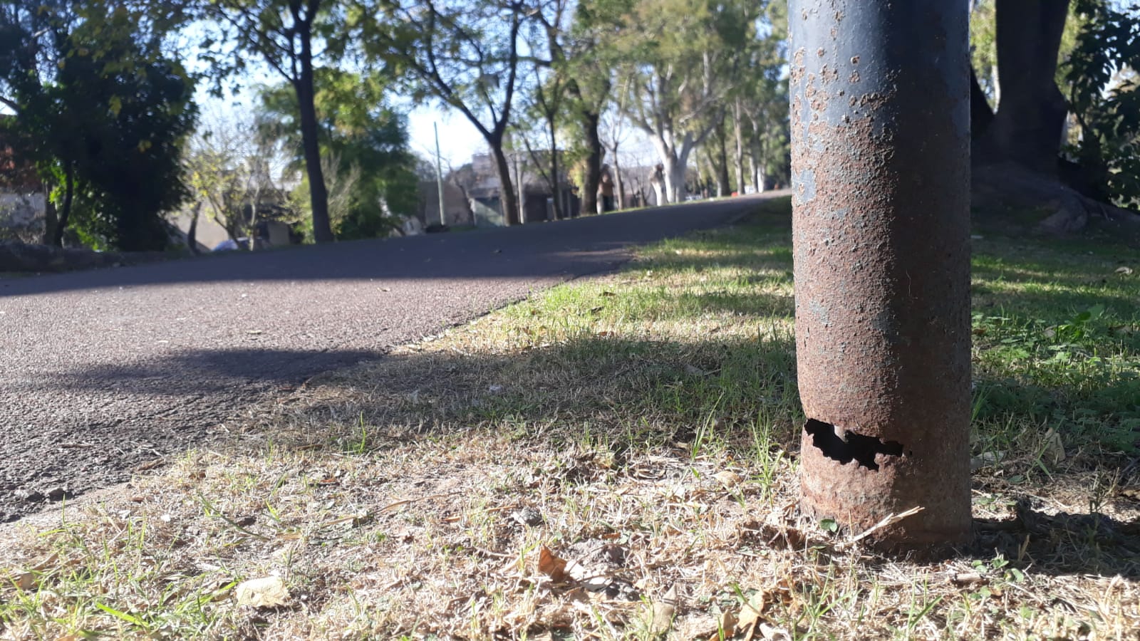 postes luz paseo (12).jpeg