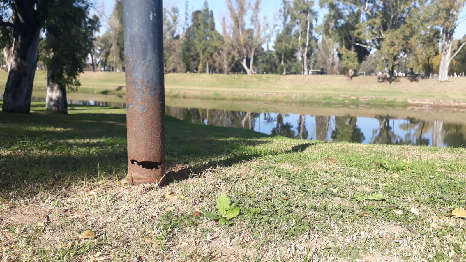 postes luz paseo (13).jpeg