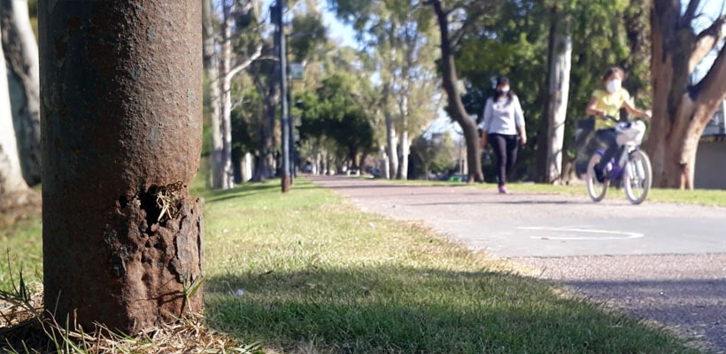 postes paseo ribereño-min.jpg (1)