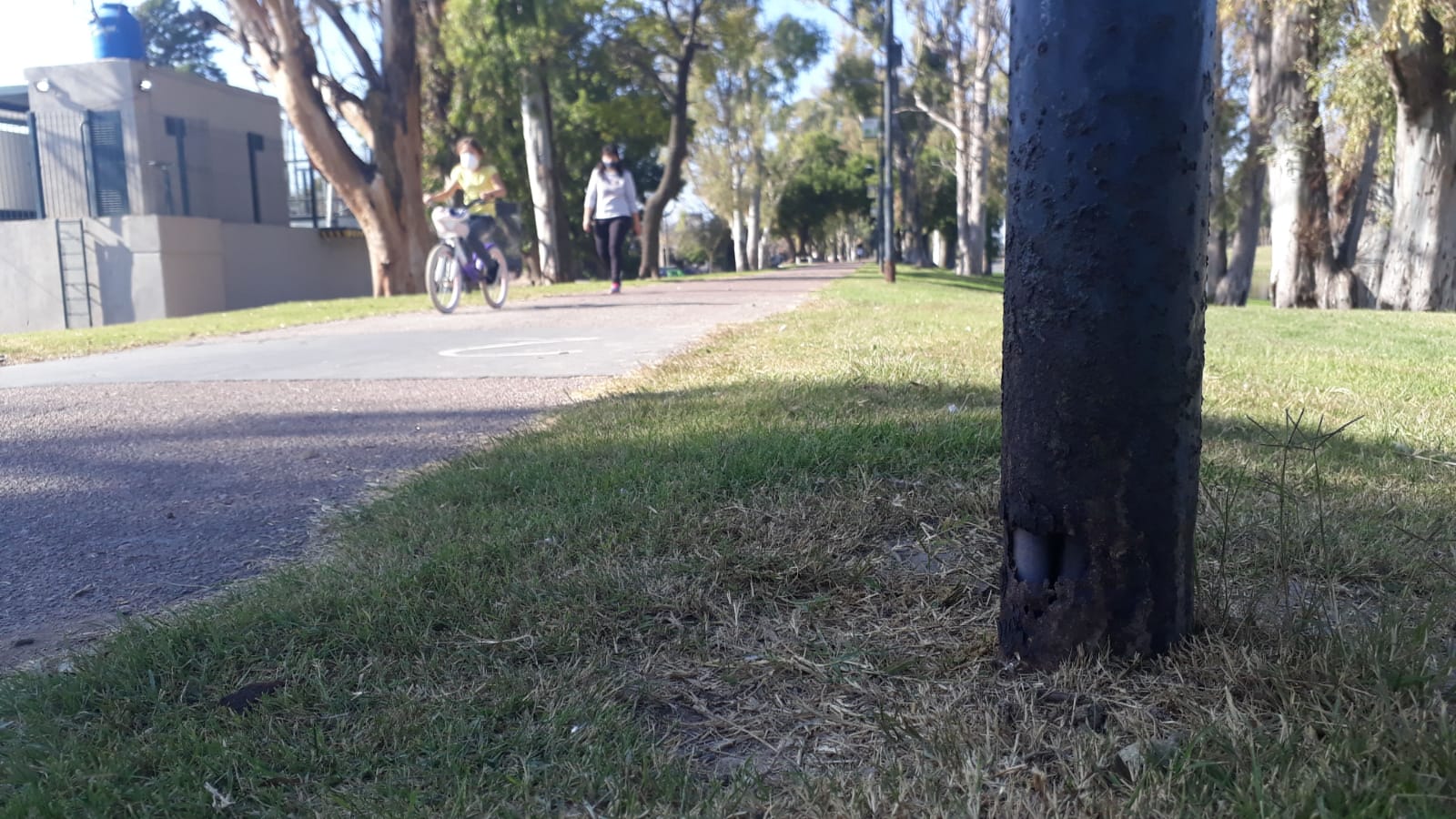 postes luz paseo (15).jpeg