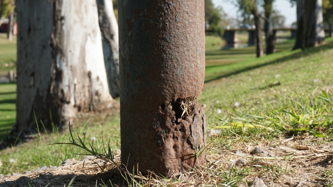 postes luz paseo (16).jpeg