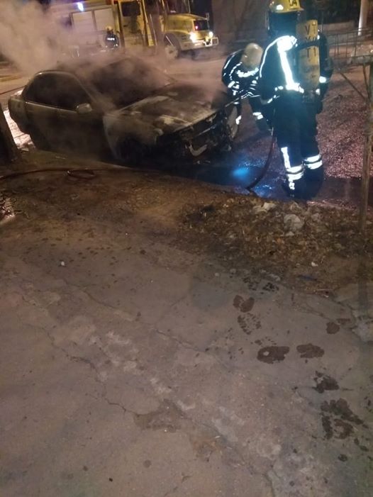 auto venado 1.jpg