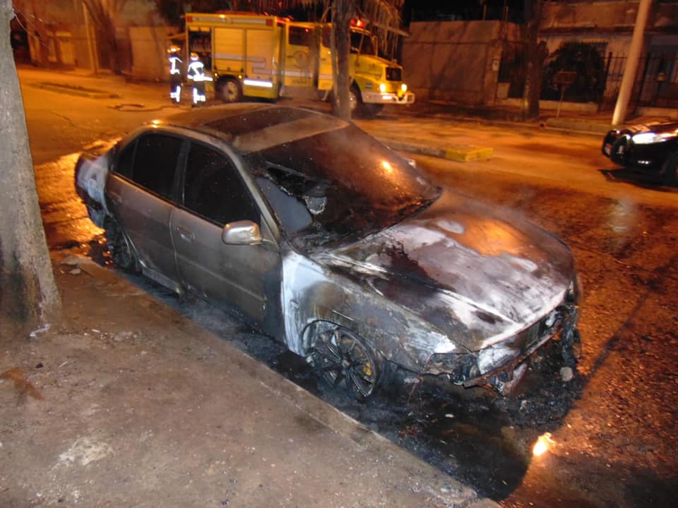 auto venado 2.jpg