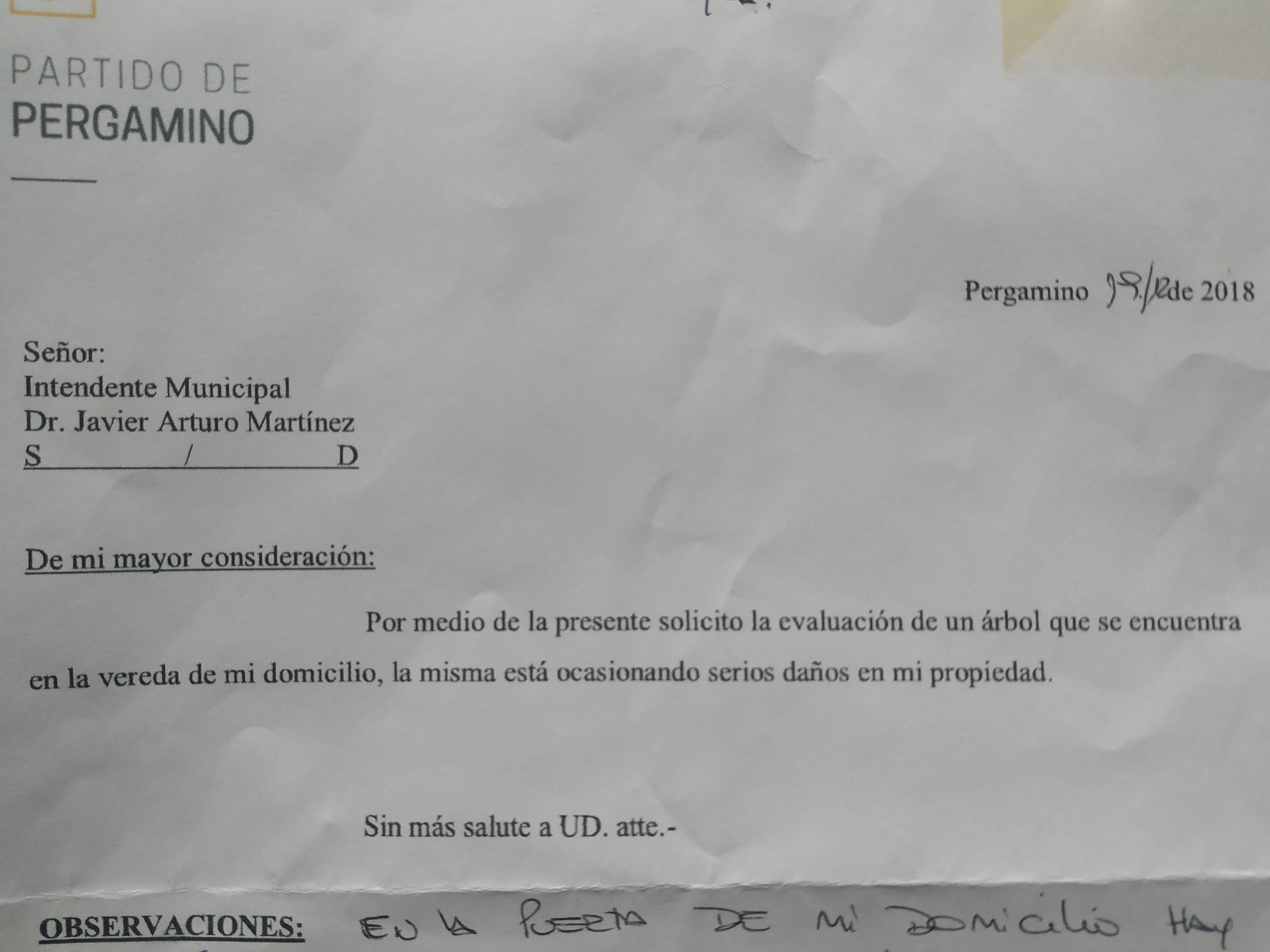 multa por poda (2).jpg