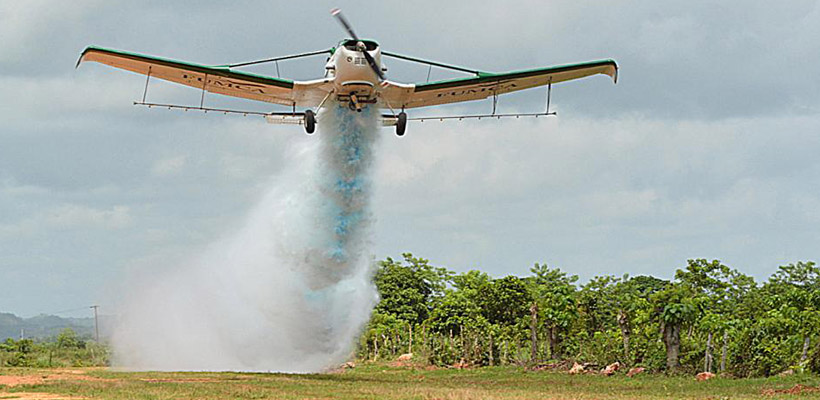 fumigacionesjpg-3