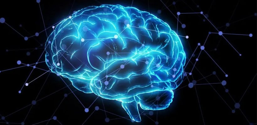 cerebro-minjpg