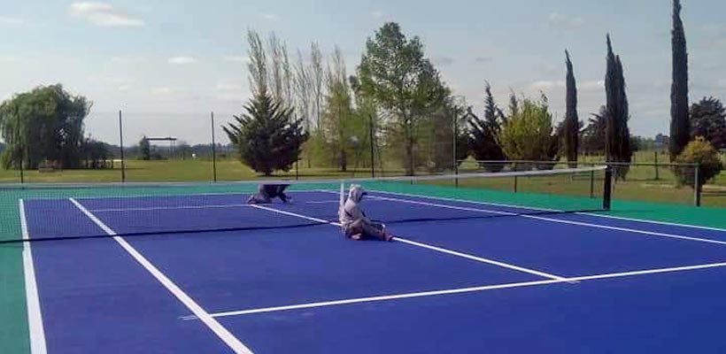 cancha-alfonzojpg