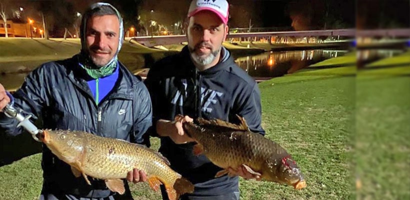 pesca-nocturna-carpa-minjpg