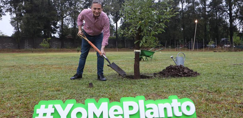 yo-me-plantojpg