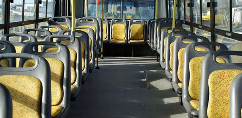 colectivo-interior-nueva-perlajpg