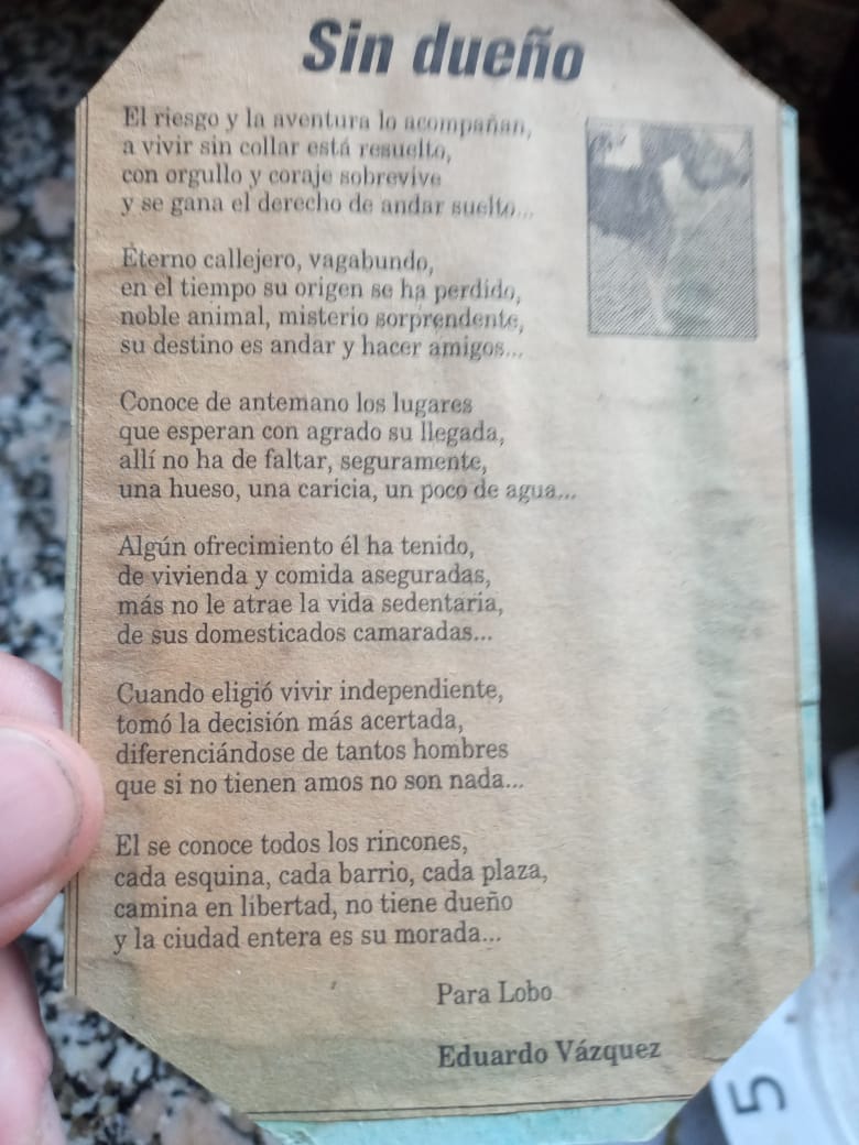 poema perro.jpeg