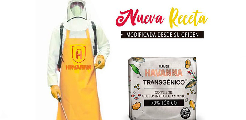 havanna-transgenicojpg