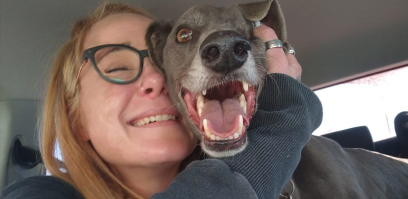 fenix-galgojpg