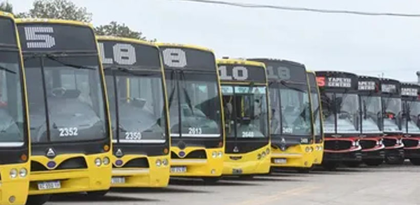 colectivos-provinciajpg