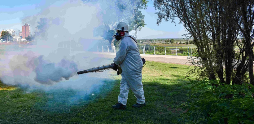 san-nicolas-fumigacionjpg