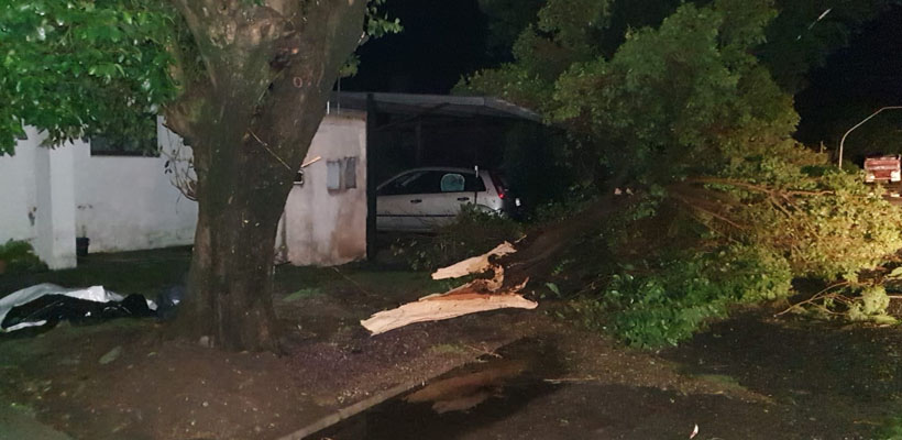 socorro-ramajpg