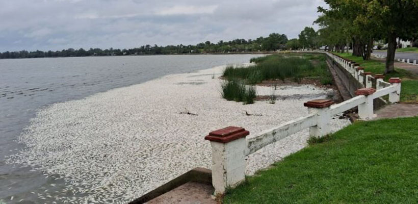 monte-lagunajpg