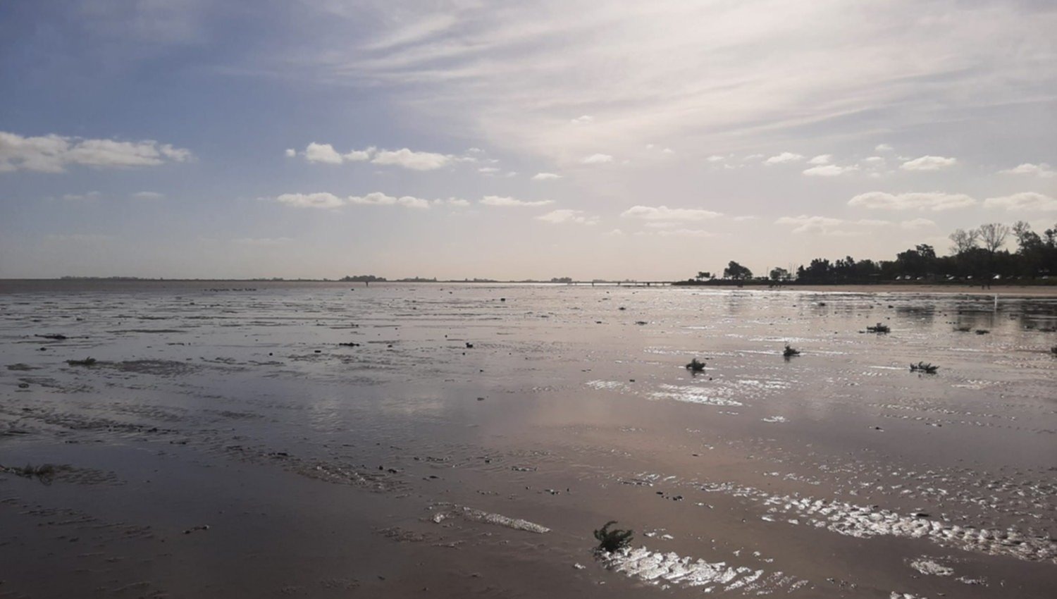 junin-laguna-aguajpeg