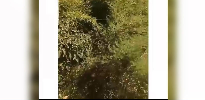 agua-belgranojpg