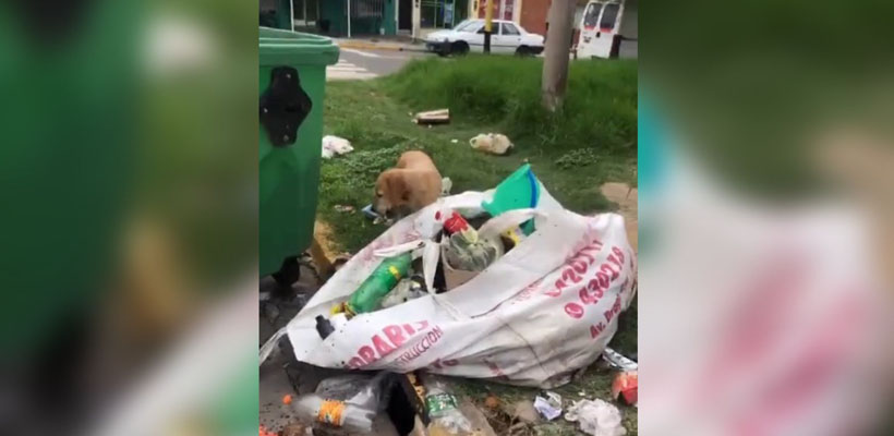 basura-barrio-acevedojpg