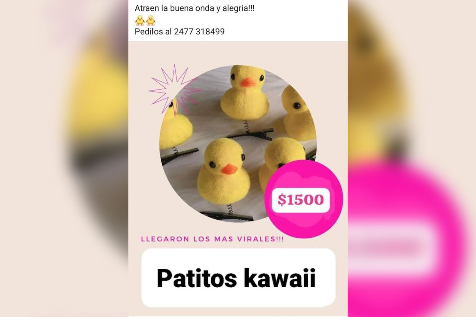patitos-kawaijpeg