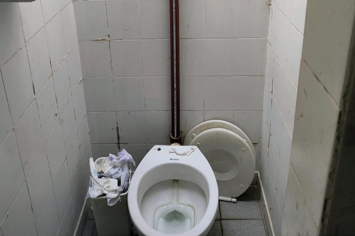 inodoro parque.jpeg