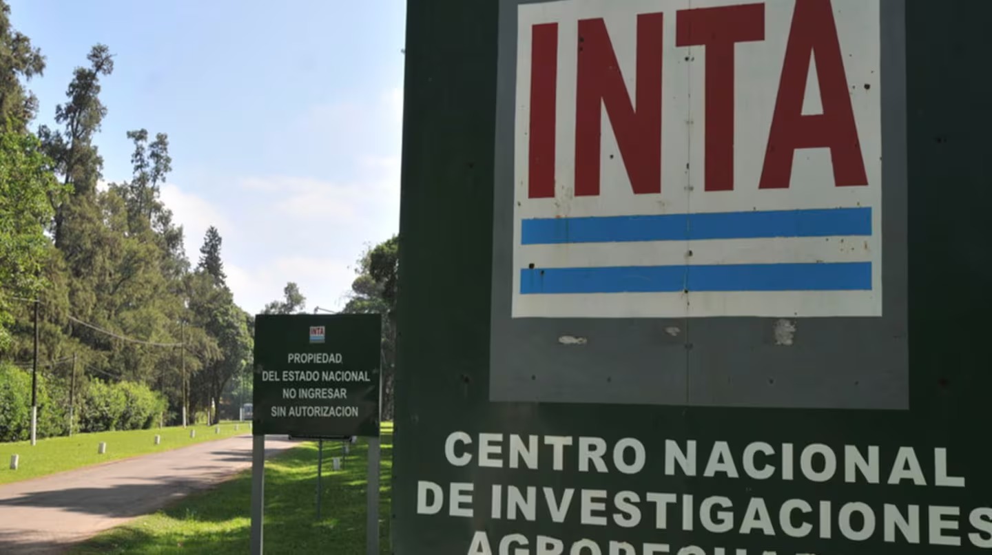 intajpeg