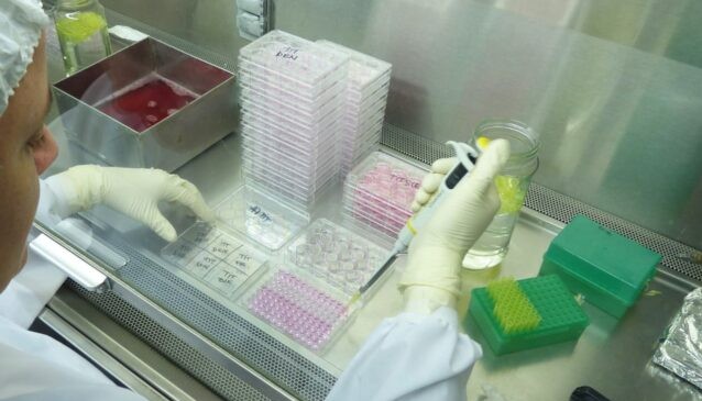 dengue-laboratoriojpg