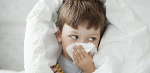 gripe-harragamjpg