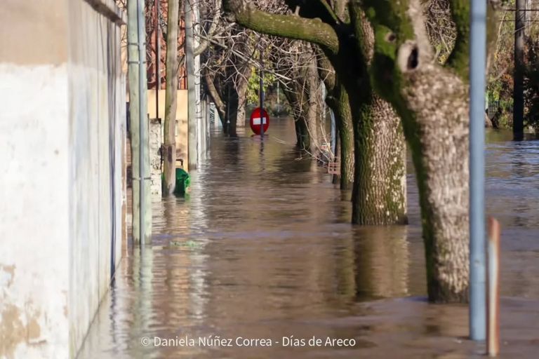 areco-aguajpeg